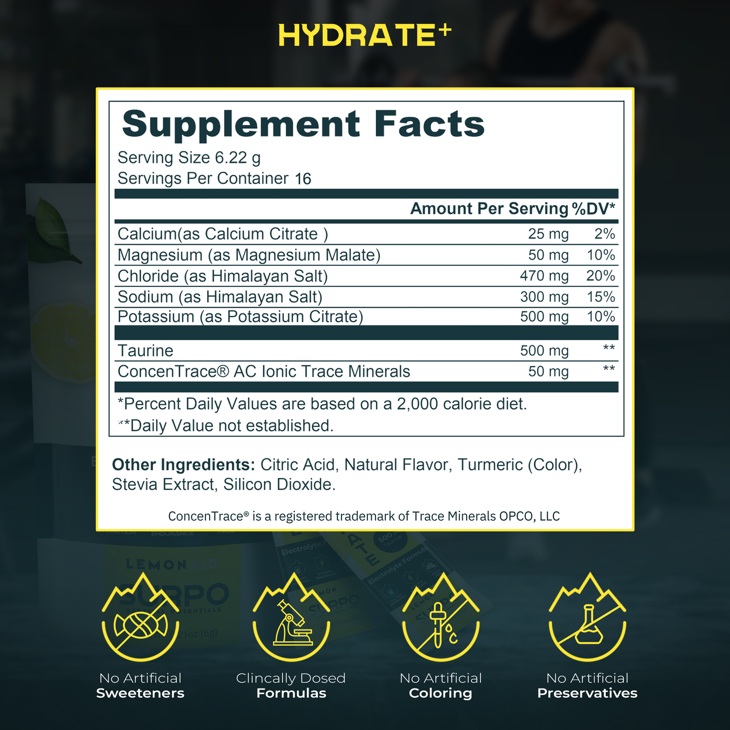 Hydrate+ Electrolyte Formula